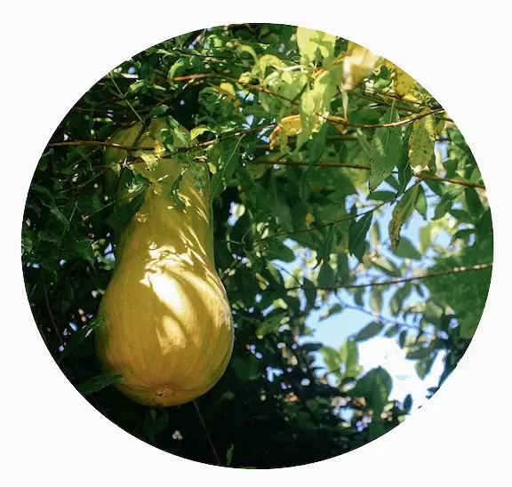 Mano verde — imagen 8