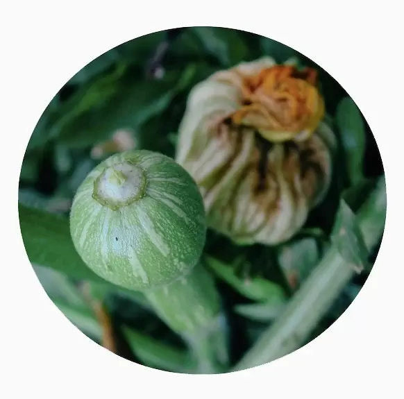 Mano verde — imagen 12