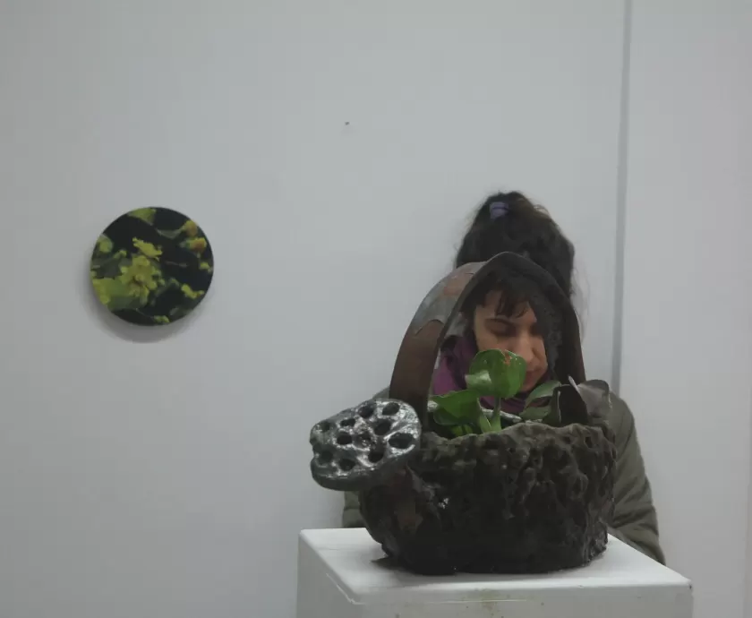 Mano verde — imagen 19