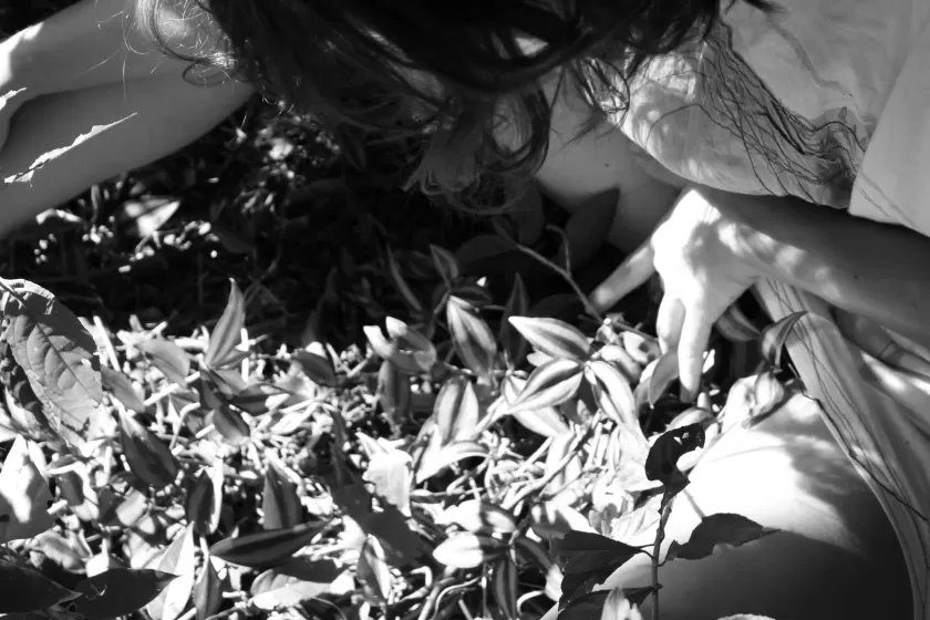 Plantando conexión — imagen 16