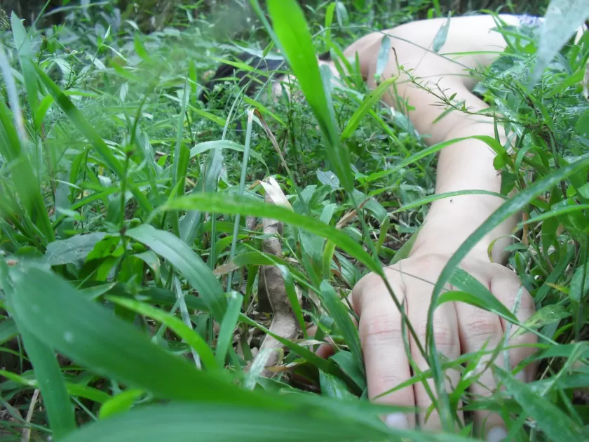 Plantando conexión — imagen 18
